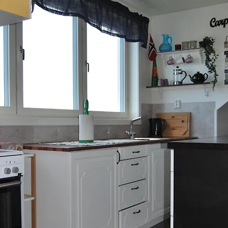 Apartament Cozy Penthouse Apartment Tustna