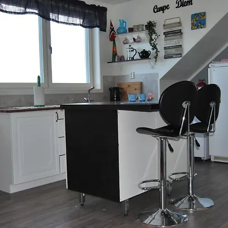 Cozy Penthouse Apartment Tustna *