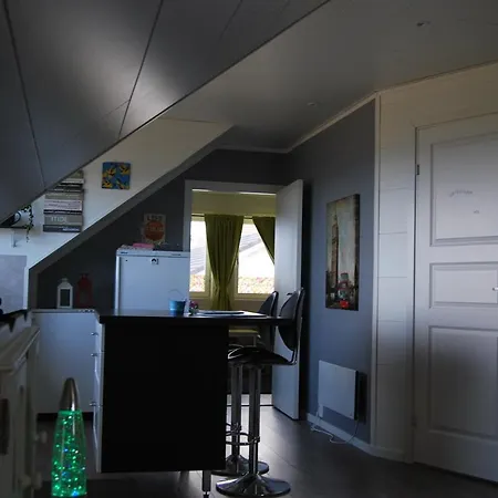 Cozy Penthouse Apartment Tustna Apartament *